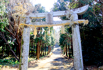 (本宮)八幡神社